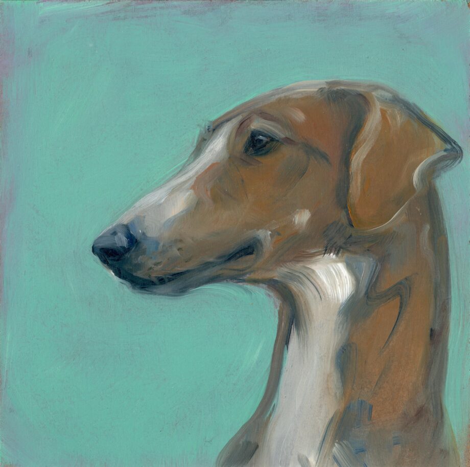 Sigrid Nienstedt - Afrikanischer Windhund - 2024