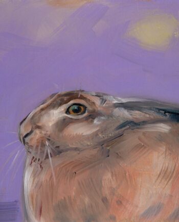 Sigrid Nienstedt - Hase - 2024