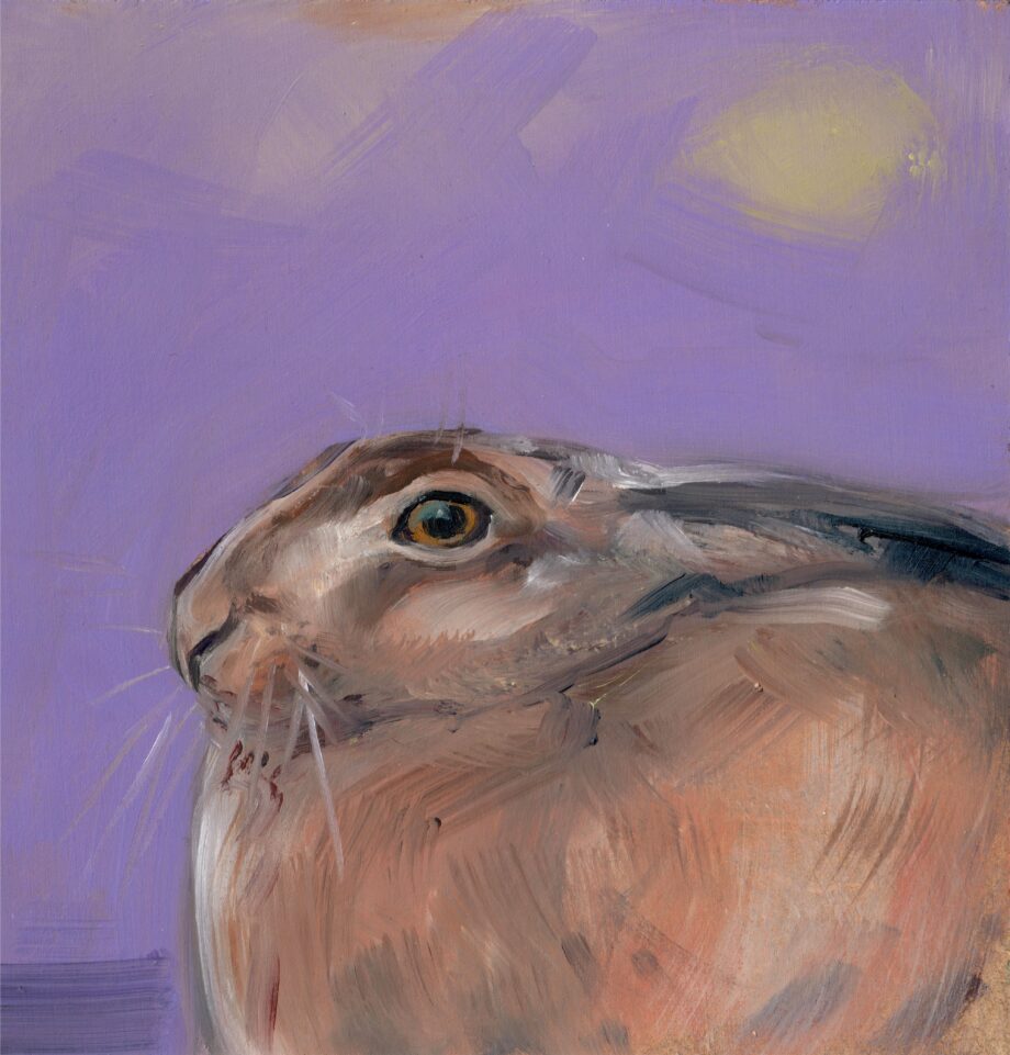 Sigrid Nienstedt - Hase - 2024