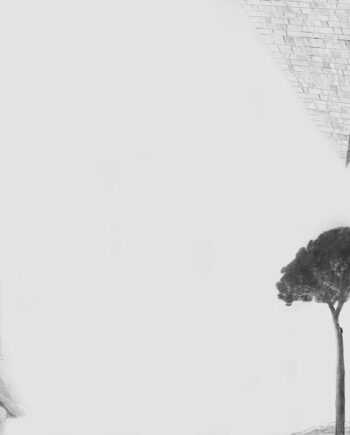 Flavio Apel – Rom III