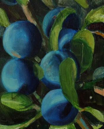 Anna Bittersohl – Do not touch