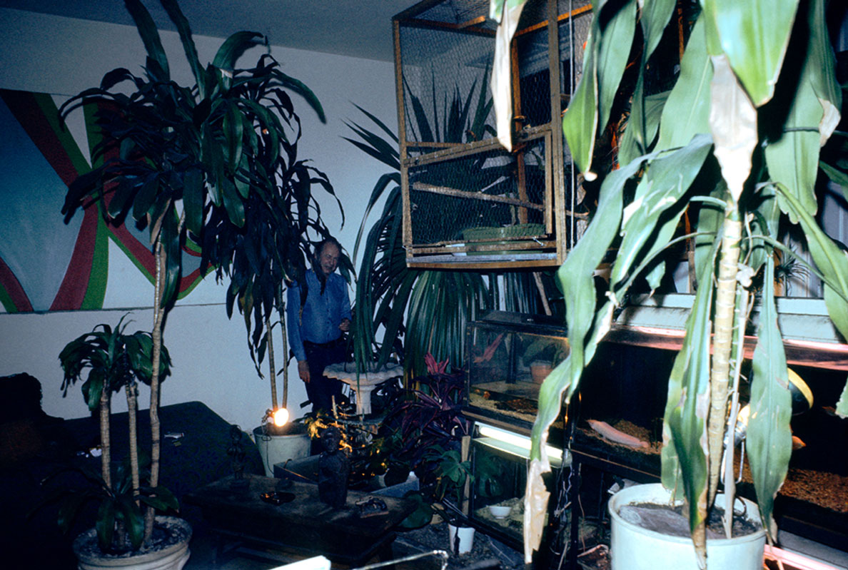 Albert "Scopin" Schöpflin – George Kleinziger, 52, Filmkomponist. Hat in 15 Jahren in seinem Zimmer einen Dschungel gezüchtet, den seine Frau abschaffen will, was die junge Ehe gefährdet.