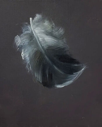 Sigrid Nienstedt – Schwarz-weiße Feder – schwebend – auf Grau-Braun