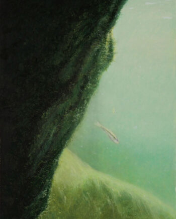 Gerlinde Zantis – Dépt 07/ L’Ardèche XXI