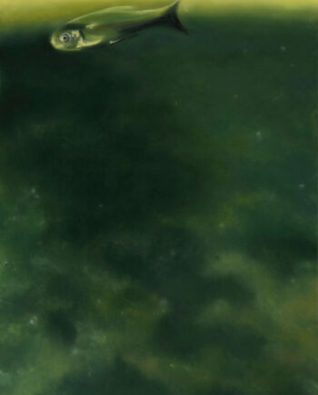 Gerlinde Zantis – Dépt 07/ L’Ardèche XVIII