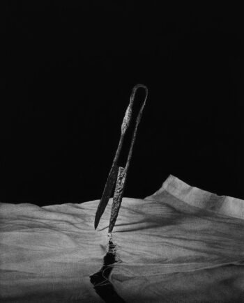 Flavio Apel – geschoren