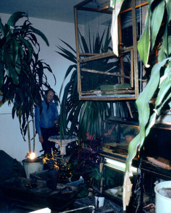 Albert "Scopin" Schöpflin – George Kleinziger, 52, Filmkomponist. Hat in 15 Jahren in seinem Zimmer einen Dschungel gezüchtet, den seine Frau abschaffen will, was die junge Ehe gefährdet.