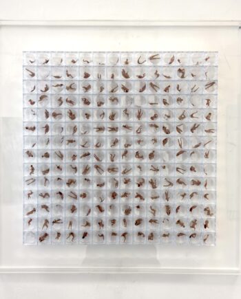 Annette von Keudell – archive