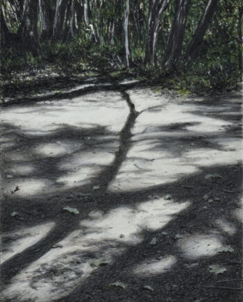 Gerlinde Zantis – Dépt 07, Bois de Païolive XYI
