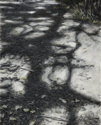 Gerlinde Zantis – Dépt 07, Bois de Païolive XX