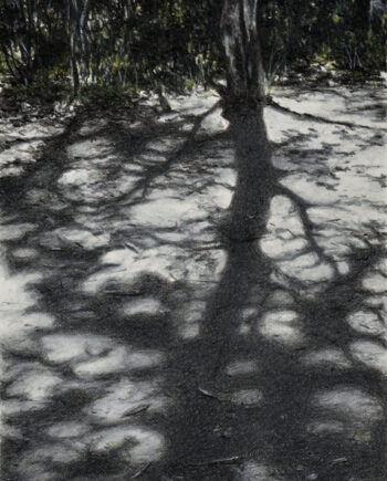 Gerlinde Zantis – Dépt 07, Bois de Païolive XVIII