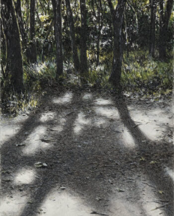 Gerlinde Zantis – Dépt 07, Bois de Païolive XIX