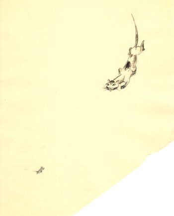 Max Schwimmer – o.T. (Katz und Maus)