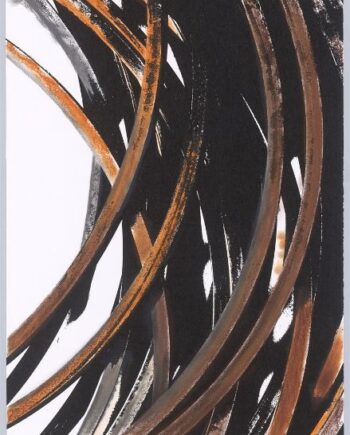 Bernar Venet – V Arcs